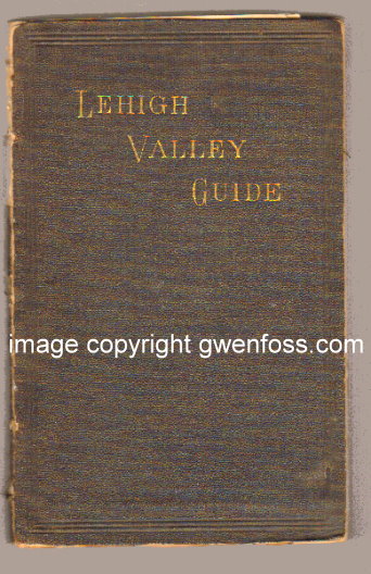 Image for Lehigh Valley Guide, Guide Book of the Lehigh Valley Railroad and its Several Branches and Connections :  With an Account, Descriptive and Historical, of the Places Along Their Route