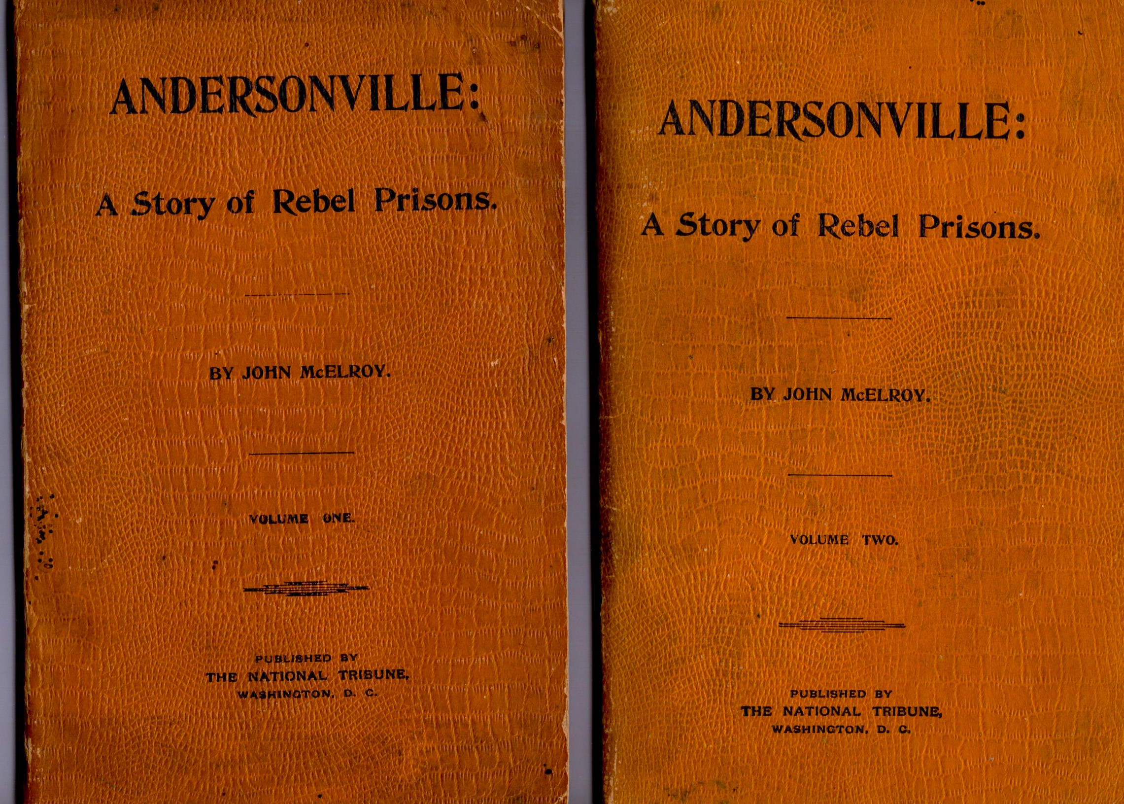 Andersonville, a Story of Rebel Military Prisons, Complete in 2 Volumes : Fifteen Months a Guest of the So-Called Southern Confederacy