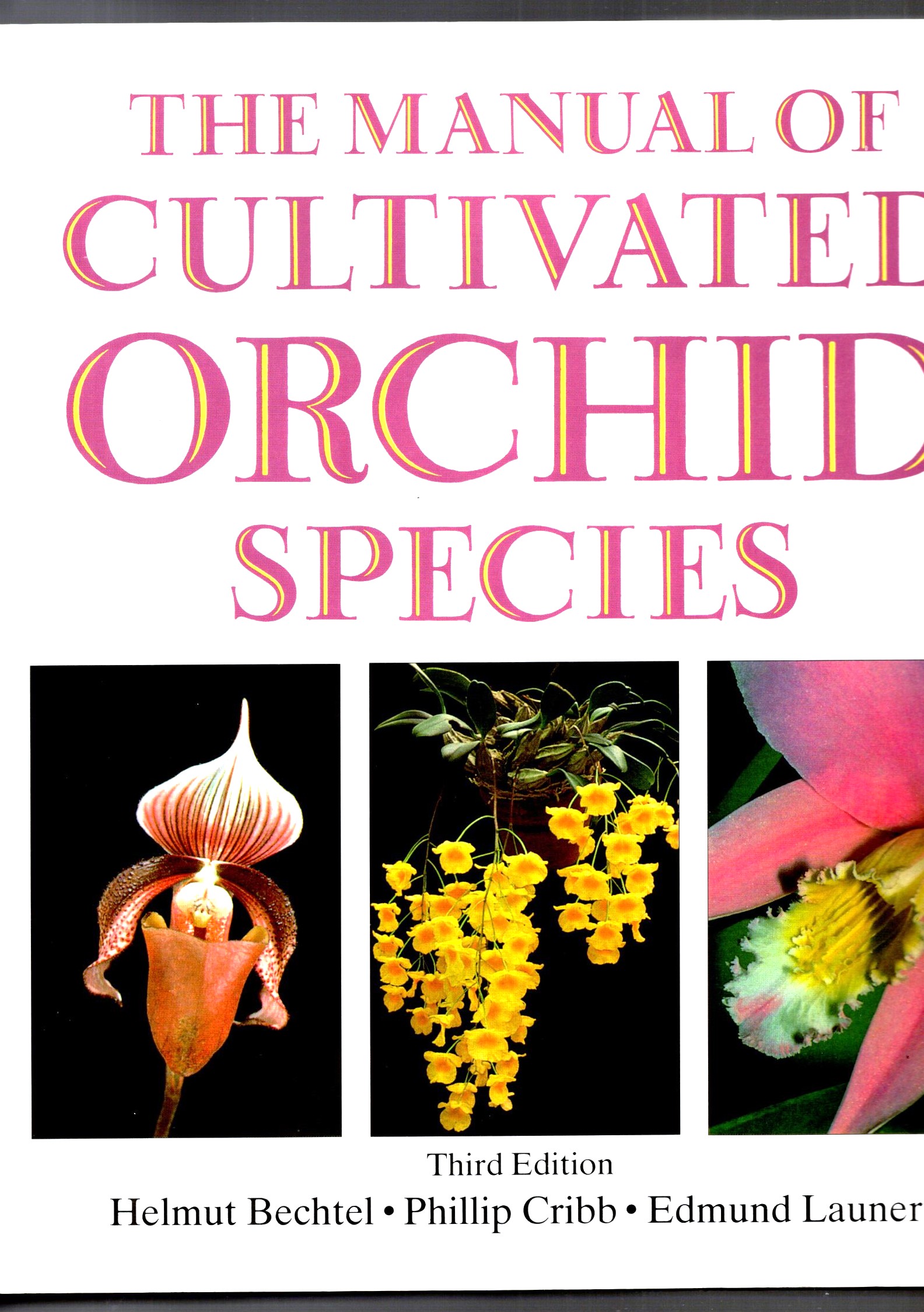 Manual of Cultivated Orchid Species, the : (3e, 3rd Edition, 2nd Printing, 1998)