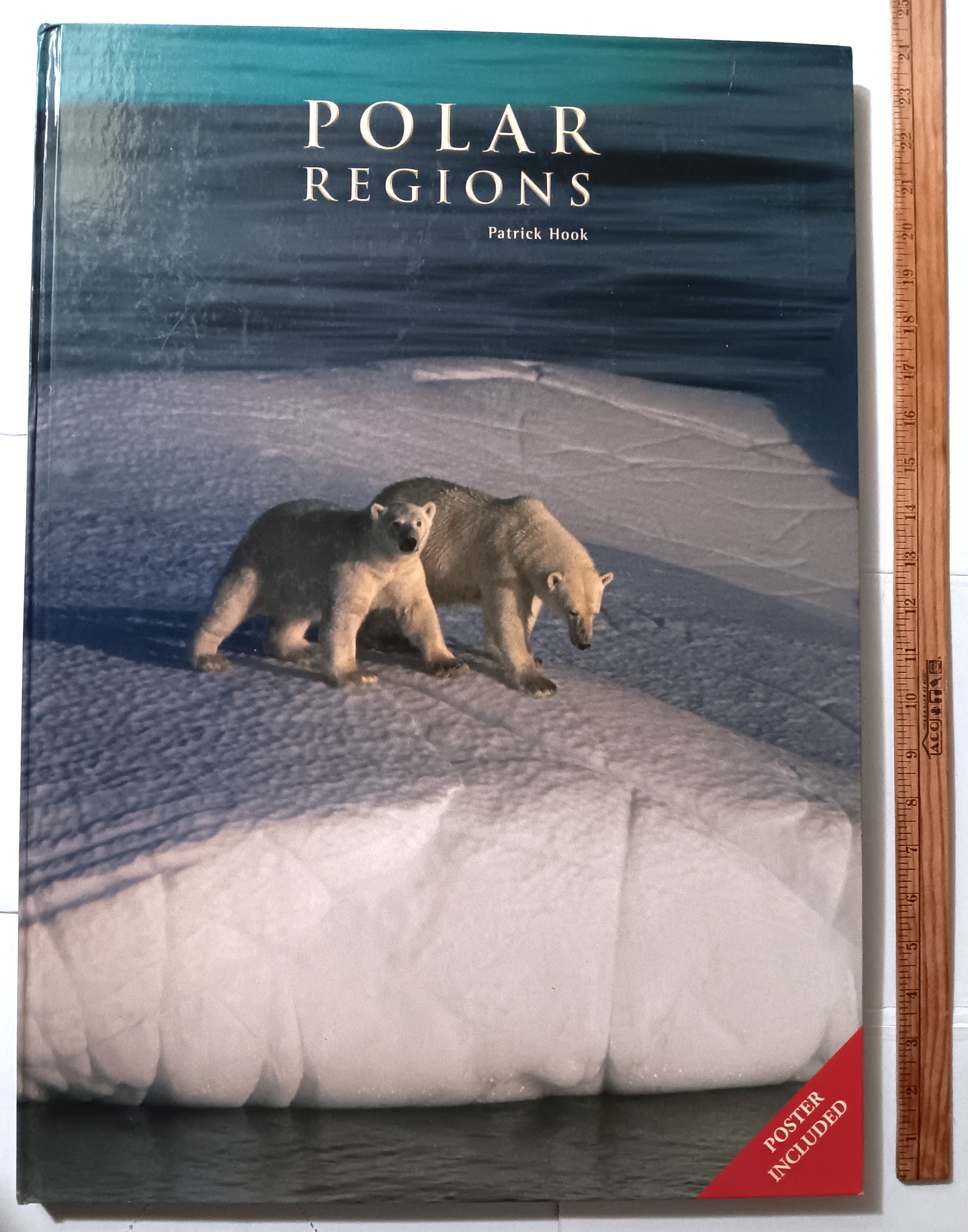 Image for Polar Regions : Poster Included Polar Regions : Poster Included