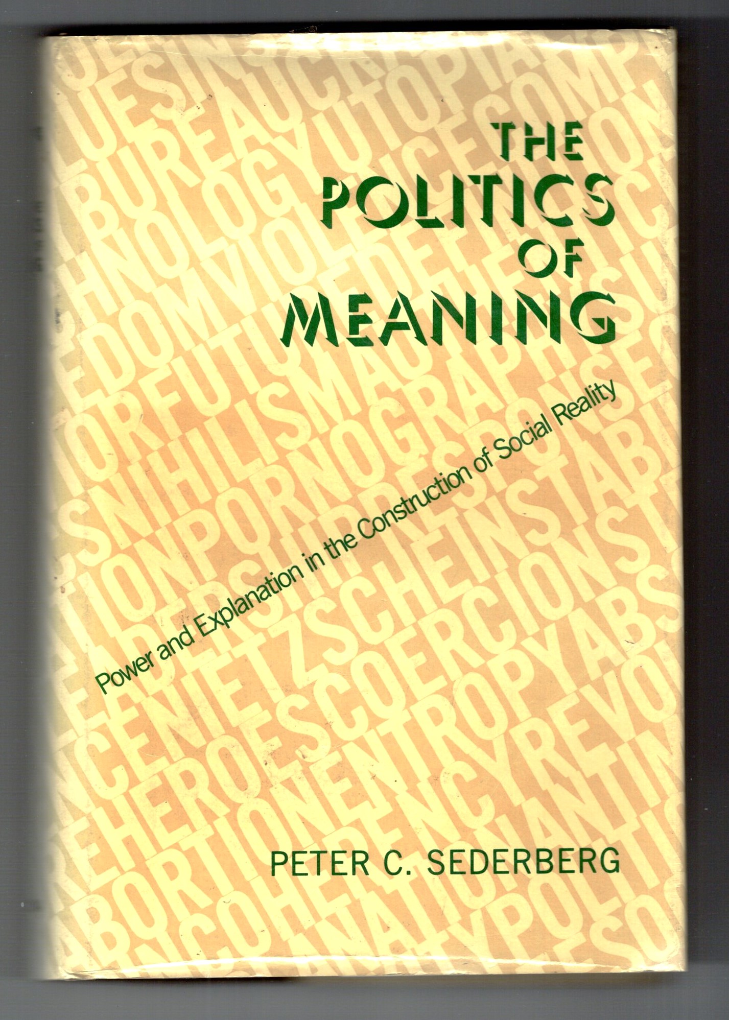 Politics of Meaning, the : Power and Explanation in the Construction of Social Reality
