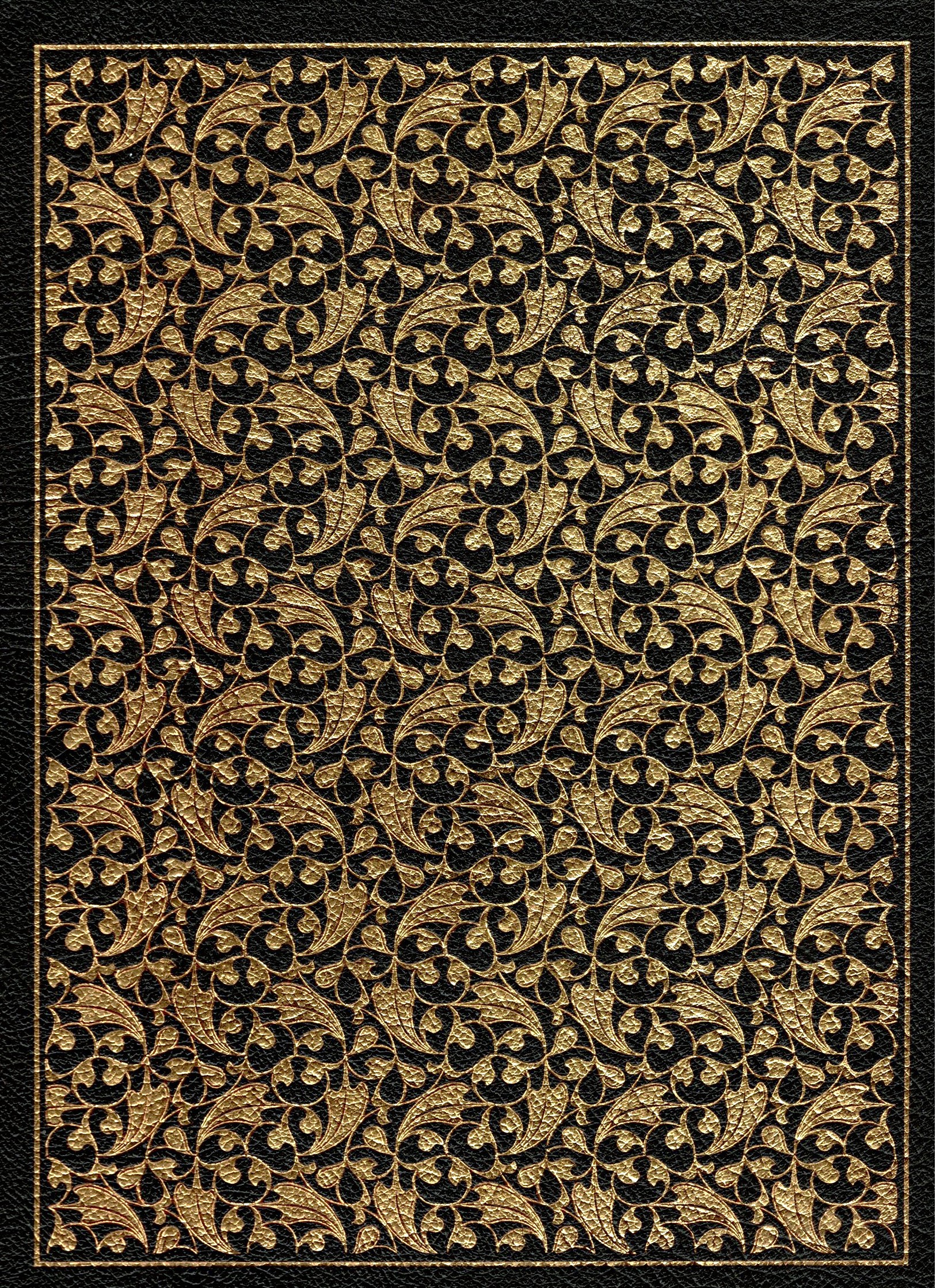 Rights of Man : Collector's Edition Bound in Genuine Leather