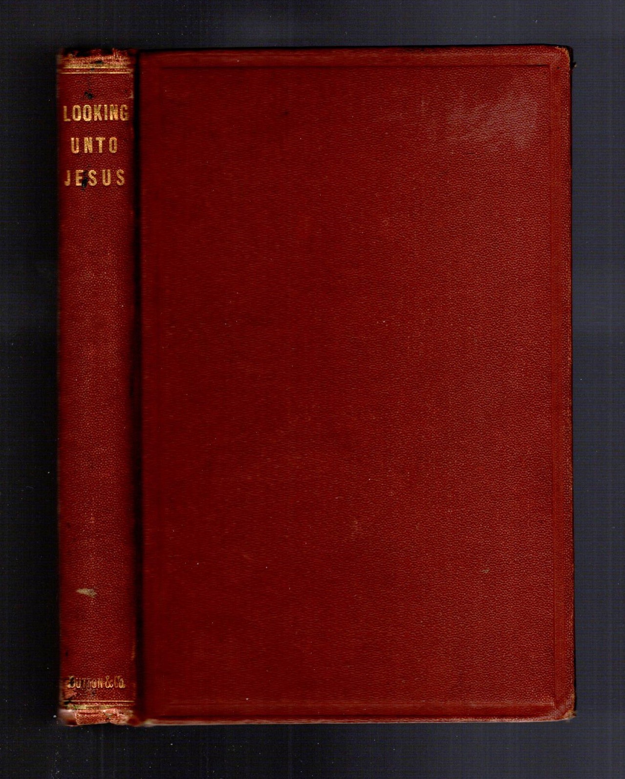 Looking Unto Jesus : A Narrative of the Brief Race of a Young Disciple, by Her Mother