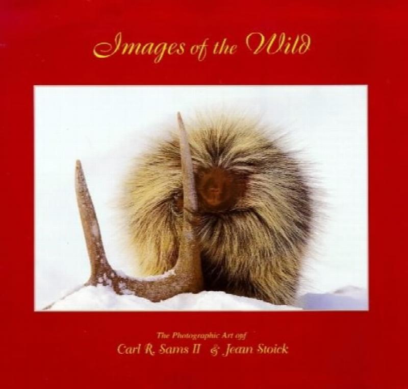 Image for Images of the Wild :  Photographic Art of Carl R. Sams II and Jean Stock