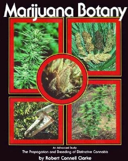 Image for Marijuana Botany : An Advanced Study, the Propagation and Breeding of Distinctive Cannabis