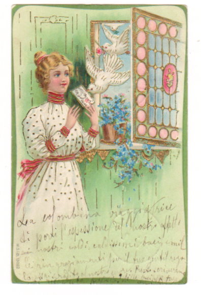 Image for Message from a Dove