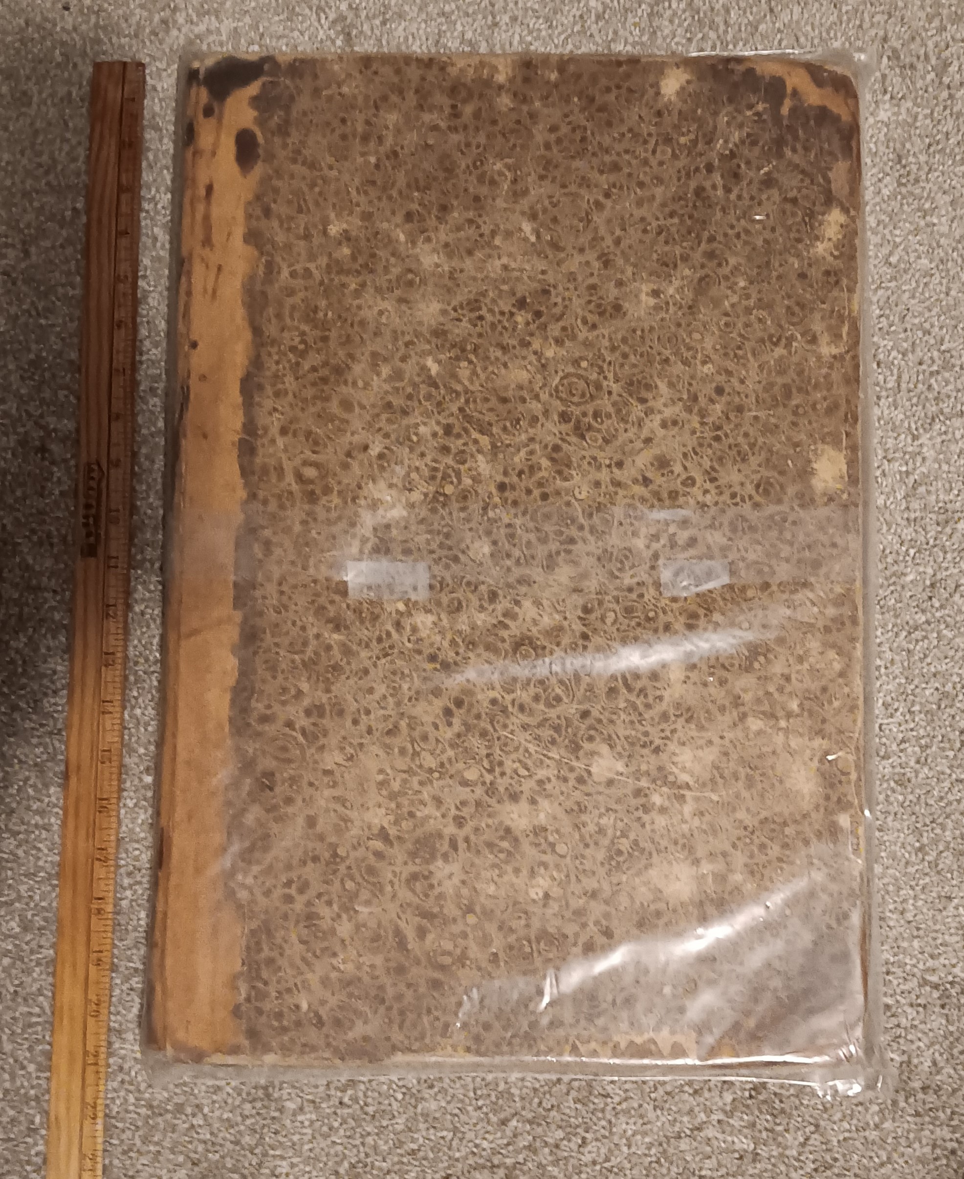 Universalist Trumpet : Volume 12, Volume 13, 1830-1832