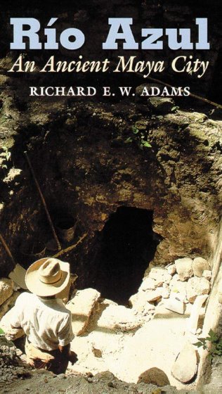 Image for Rio Azul : An Ancient Maya City