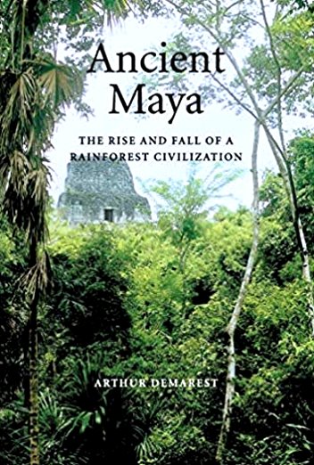 Image for Ancient Maya :  The Rise and Fall of a Rainforest Civilization
