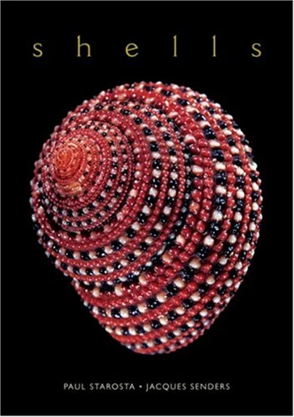 Image for Shells :  The Rita and Jacques Senders Collection
