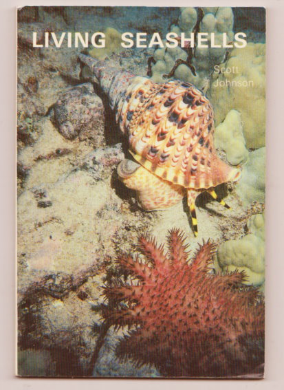 Image for Living Seashells