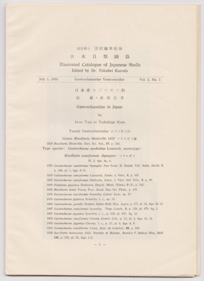 Image for Illustrated Catalogue of Japanese Shells