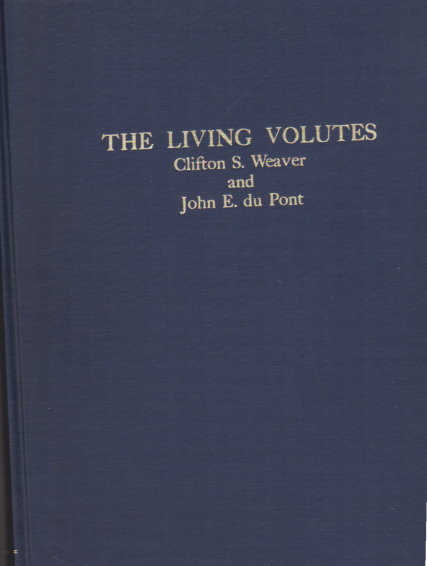 Image for Living Volutes, the :  A Monograph of the Recent Volutidae of the World