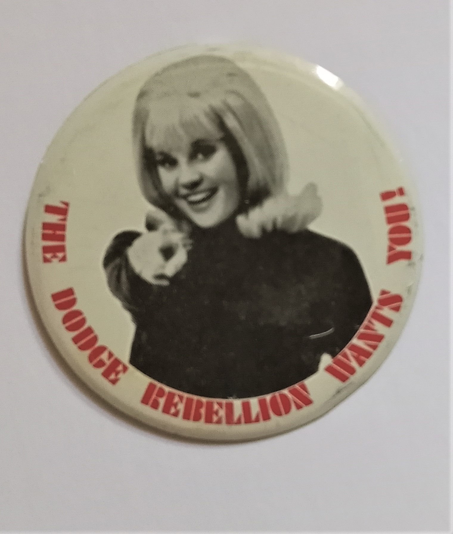 Image for Dodge Rebellion Wants You ! , The