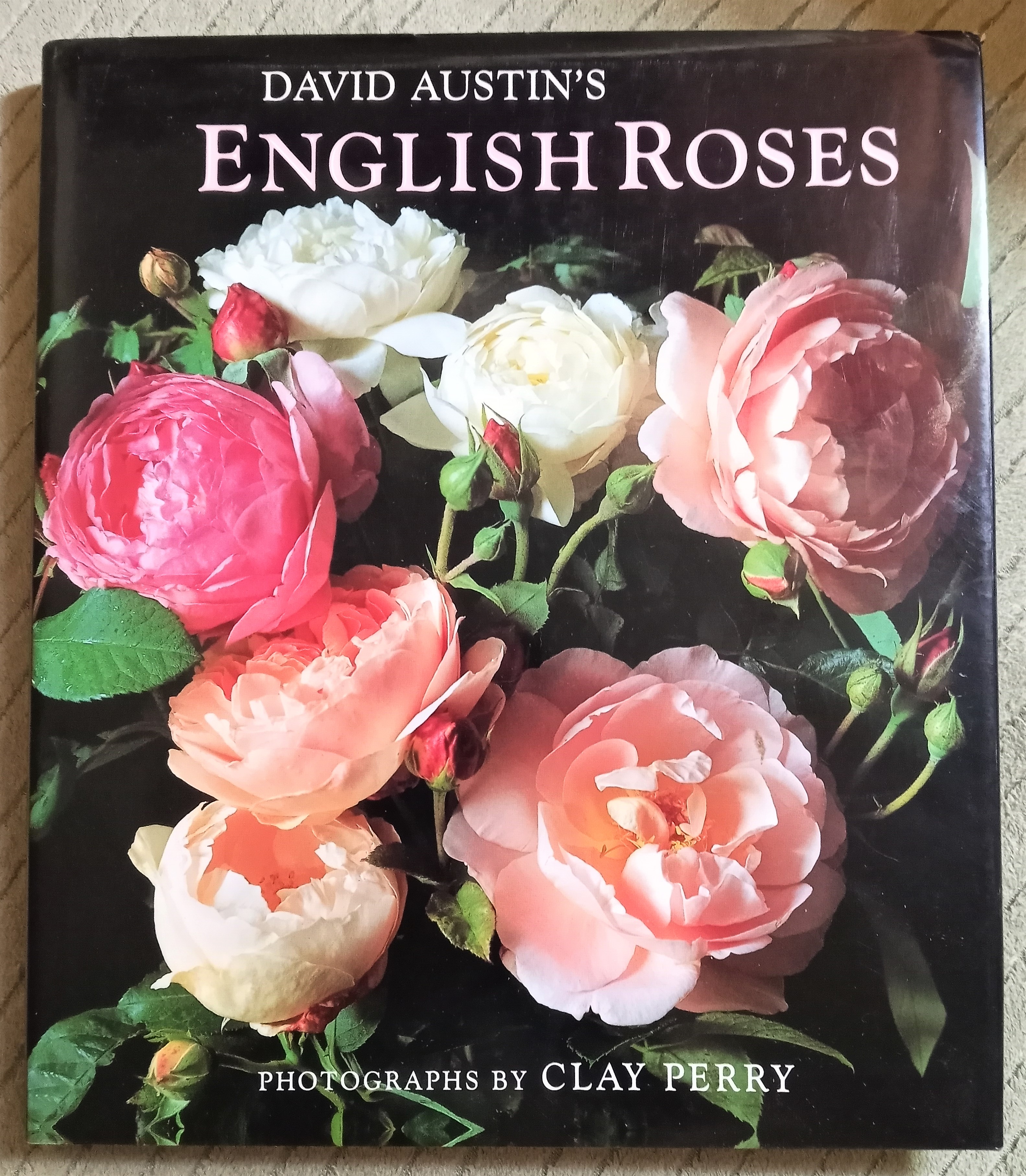 Image for David Austin's English Roses