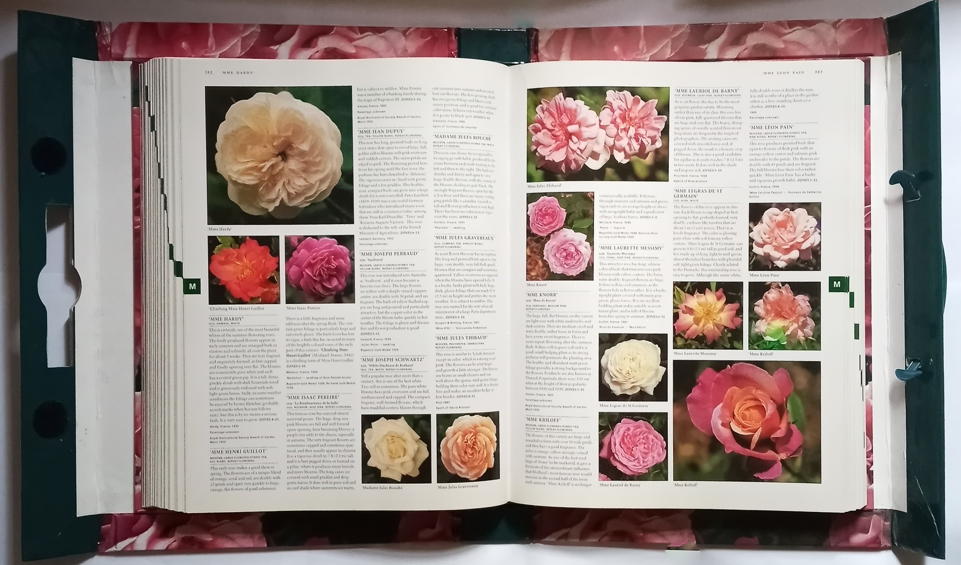 Image for Botanica's Roses :  The Encyclopedia of Roses