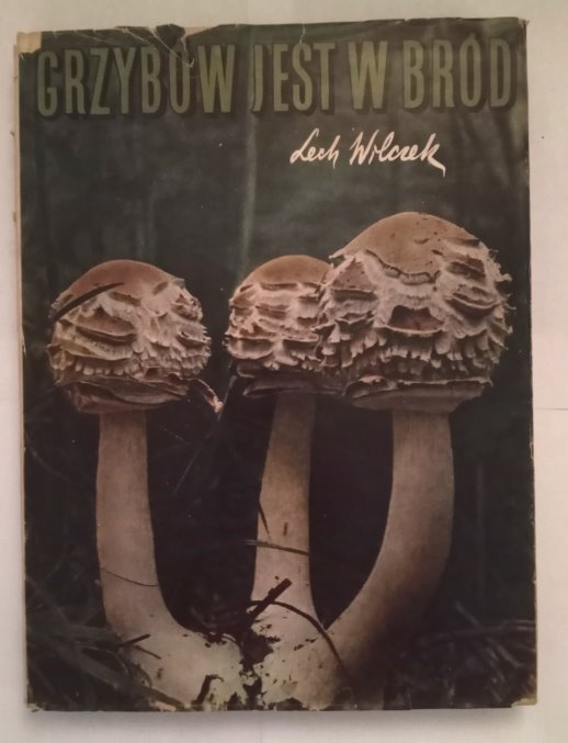 Image for Grzybow Jest W Brod :  Mushrooms in the Wild