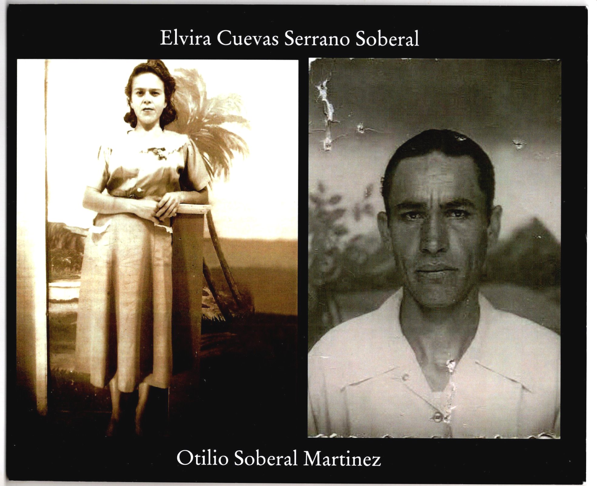 Image for Soberal Family History