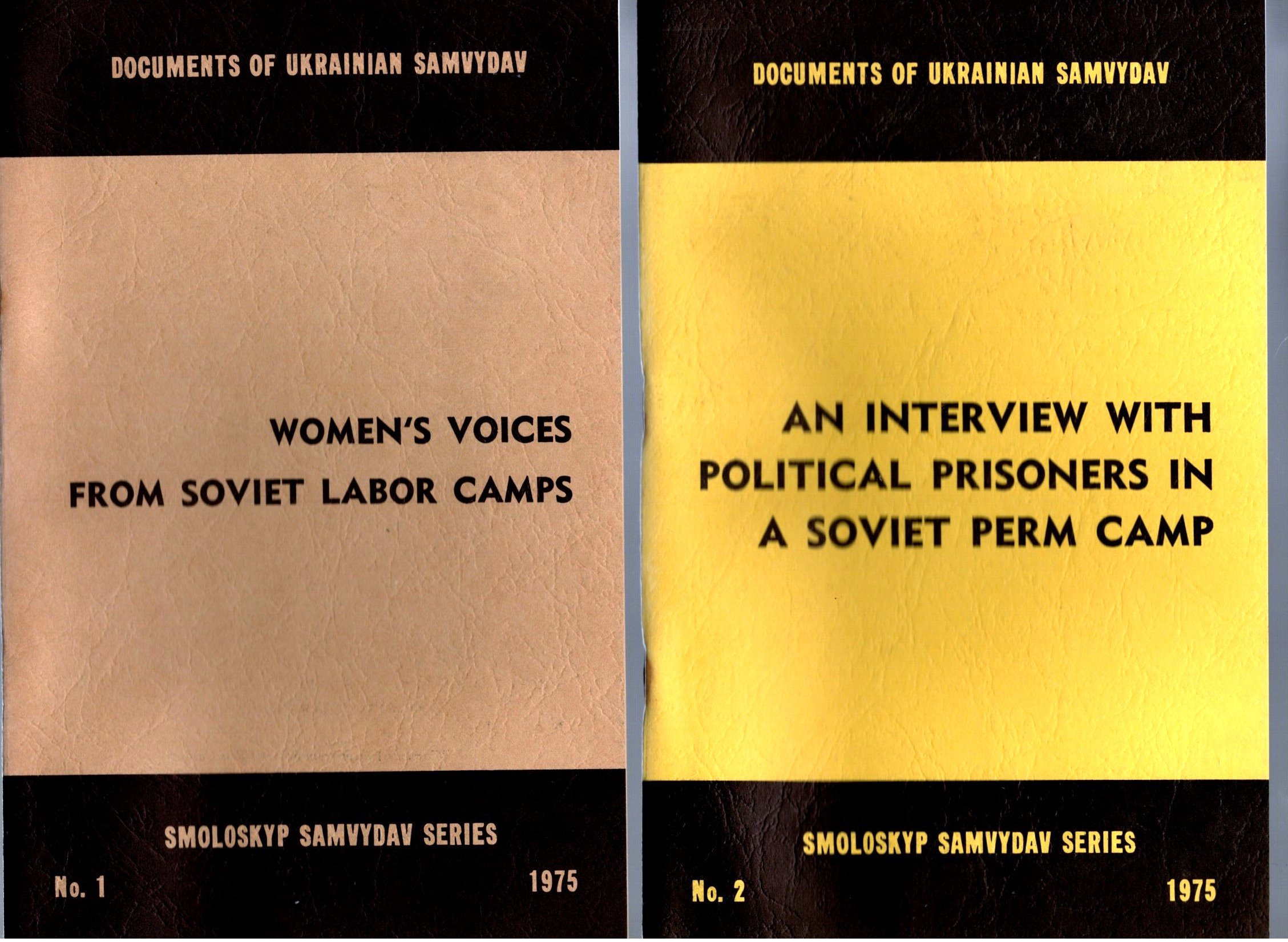 Image for Women's Voices from Soviet Labor Camps