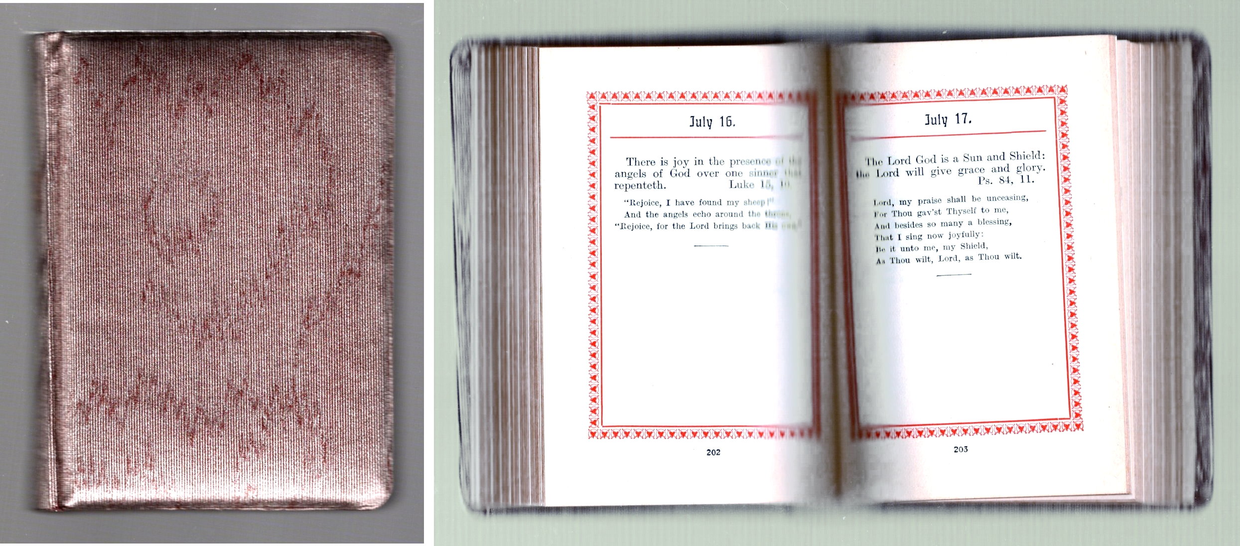 Image for Forget Me Not :  A Record of Friendship with Scripture Text and Sacred Verse for Every Day of the Year