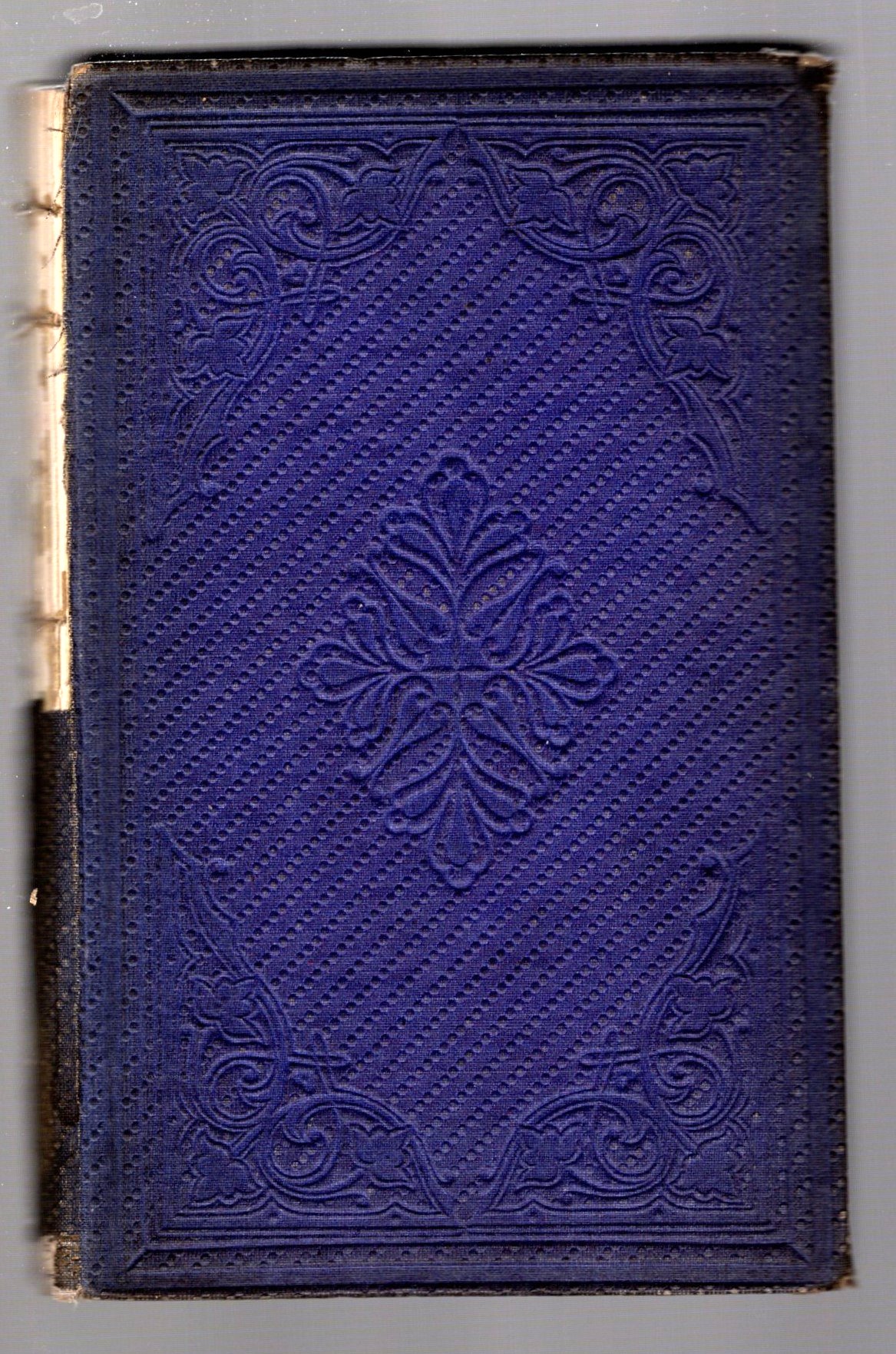 Image for Short Trip in Hungary and Transylvania, a : In the Spring of 1862