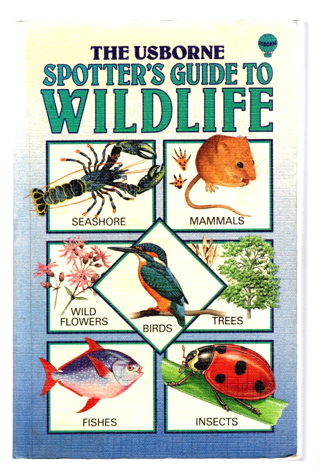 Image for Usborne Spotter's Guide to Wildlife : Seashore, Mammals, Wild Flowers, Birds, Trees, Fishes, Butterflies, Insects