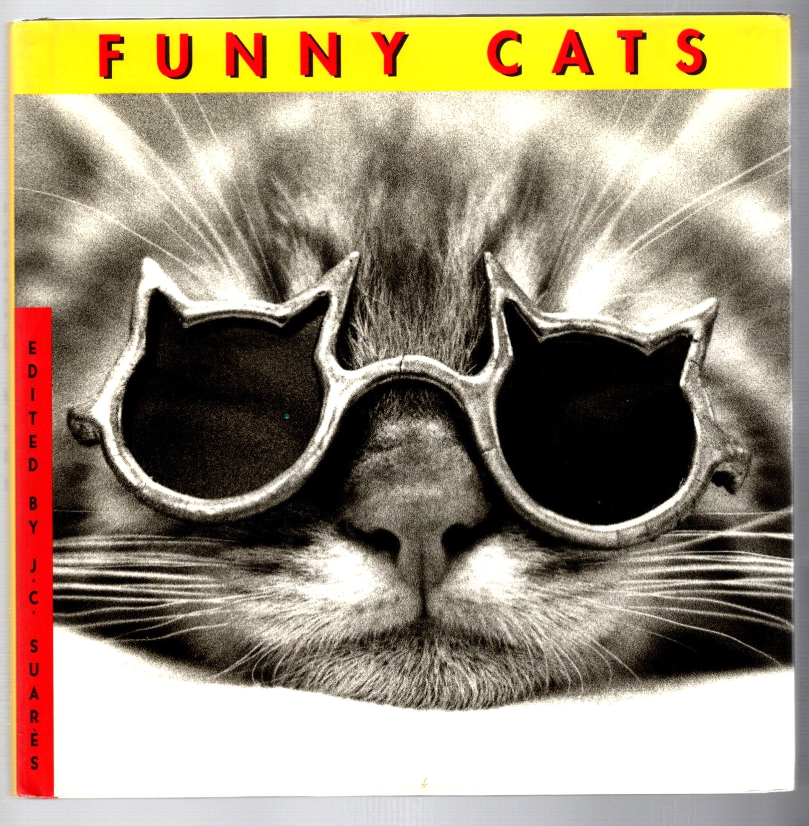 Image for Funny Cats