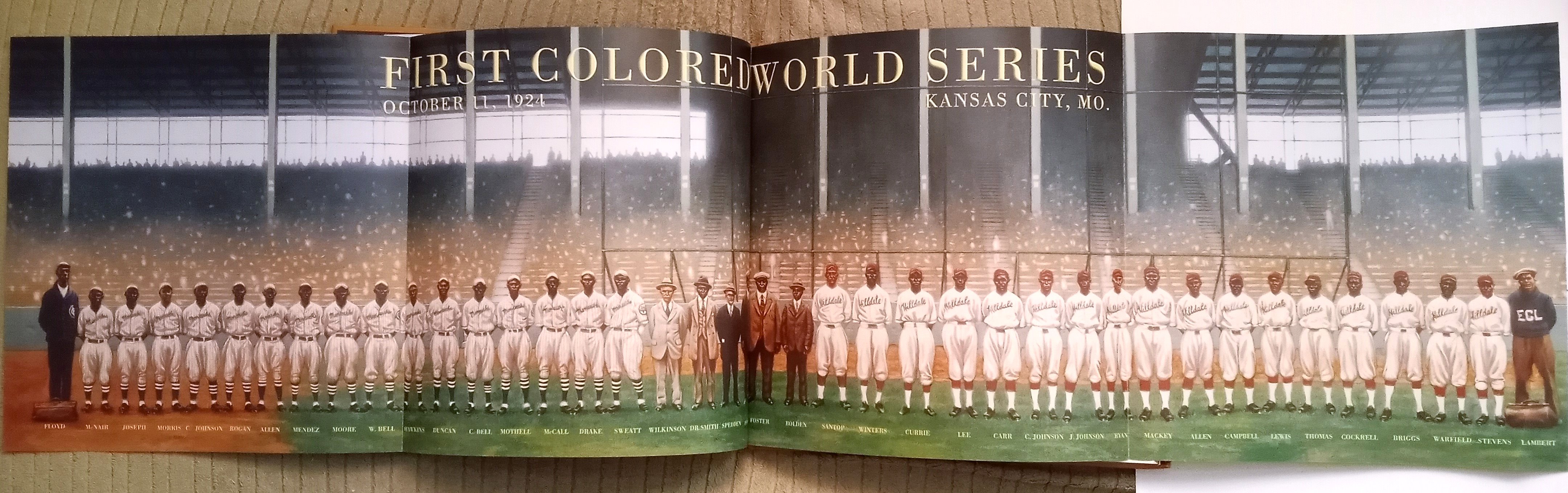 Image for We Are the Ship :  The Story of Negro League Baseball