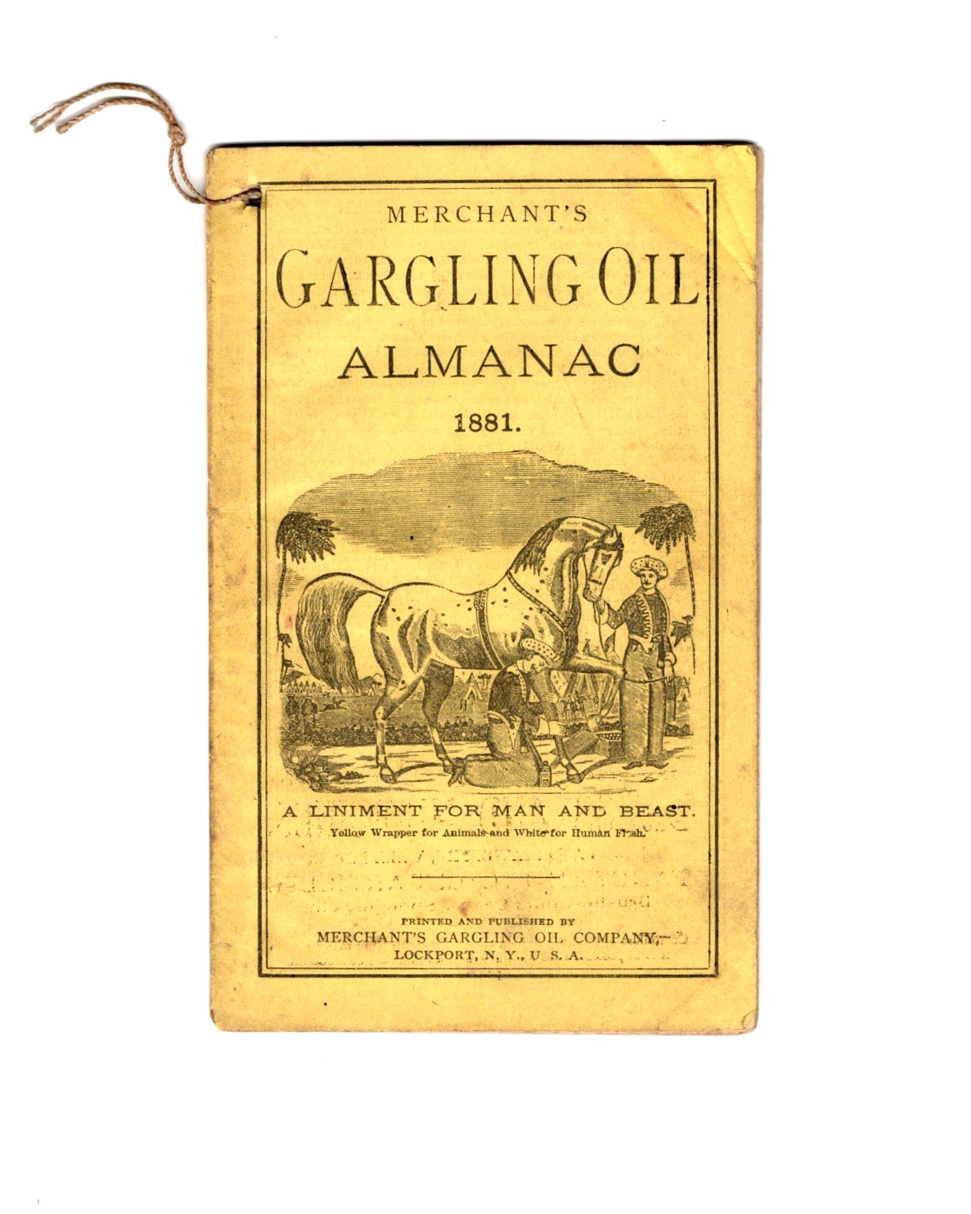 Image for Merchant's Gargling Oil Almanac :  1881