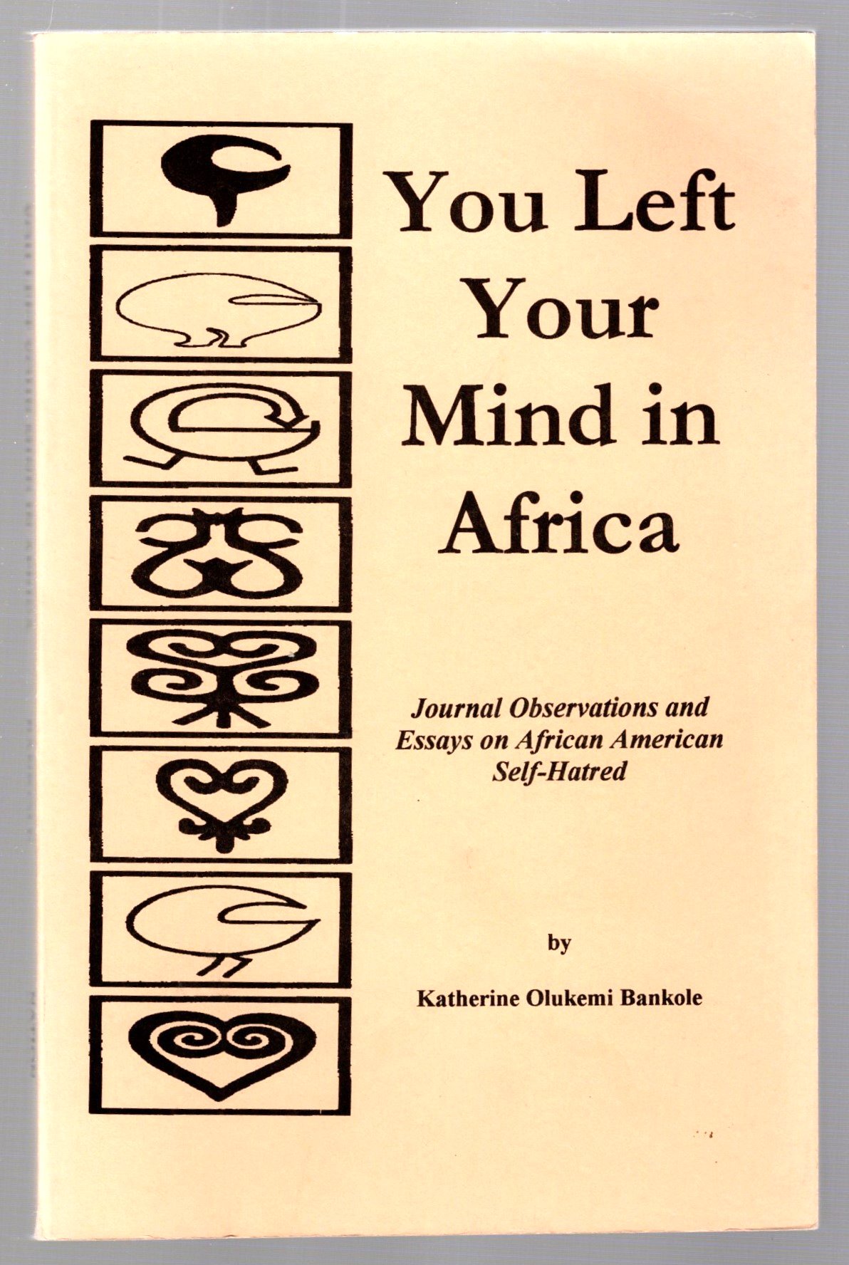 Image for You Left Your Mind in Africa :  Journal Observations and Essays on African American Self-Hatred