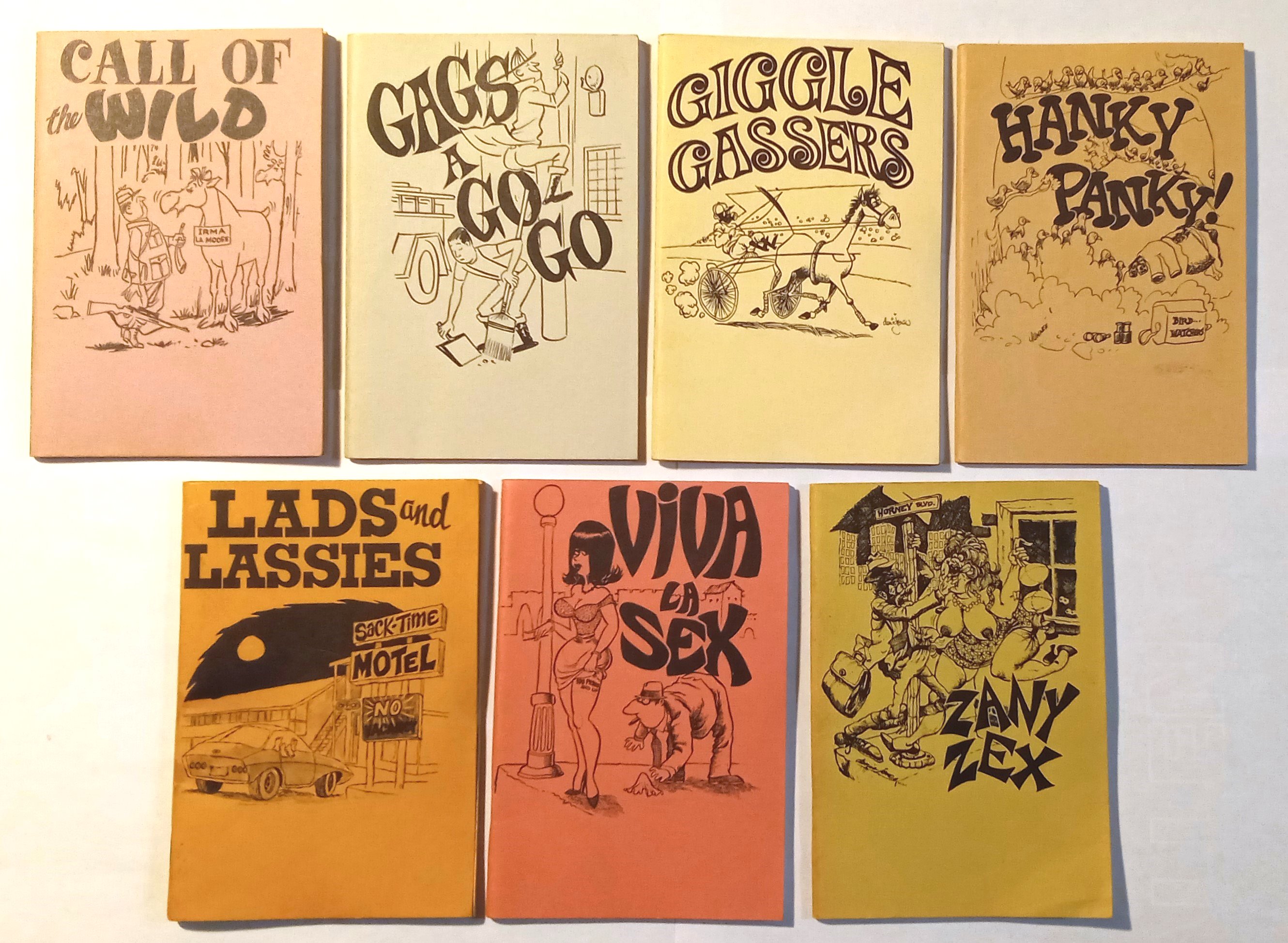 Image for Sexy Mini Joke Books :  Call of the Wild, Gags a Go Go, Giggle Gassers, Hanky Panky, Lads and Lassies, Viva La Sex, Zany Zex