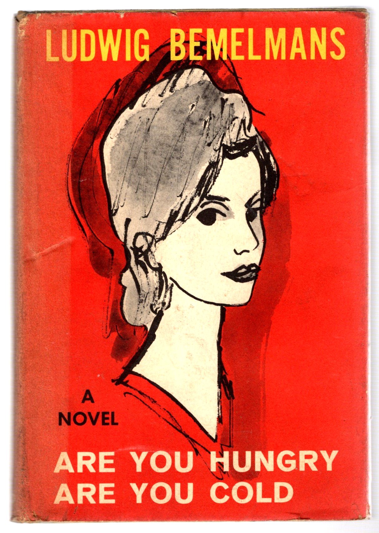 Image for Are You Hungry, Are You Cold :  A Novel