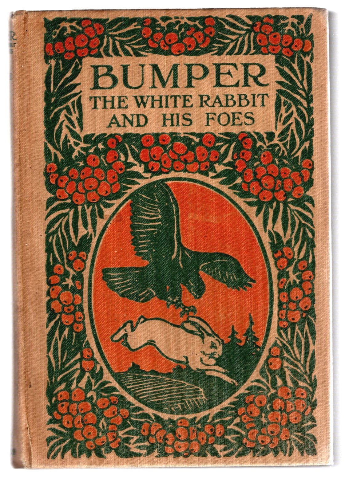 Image for Bumper the White Rabbit and His Foes
