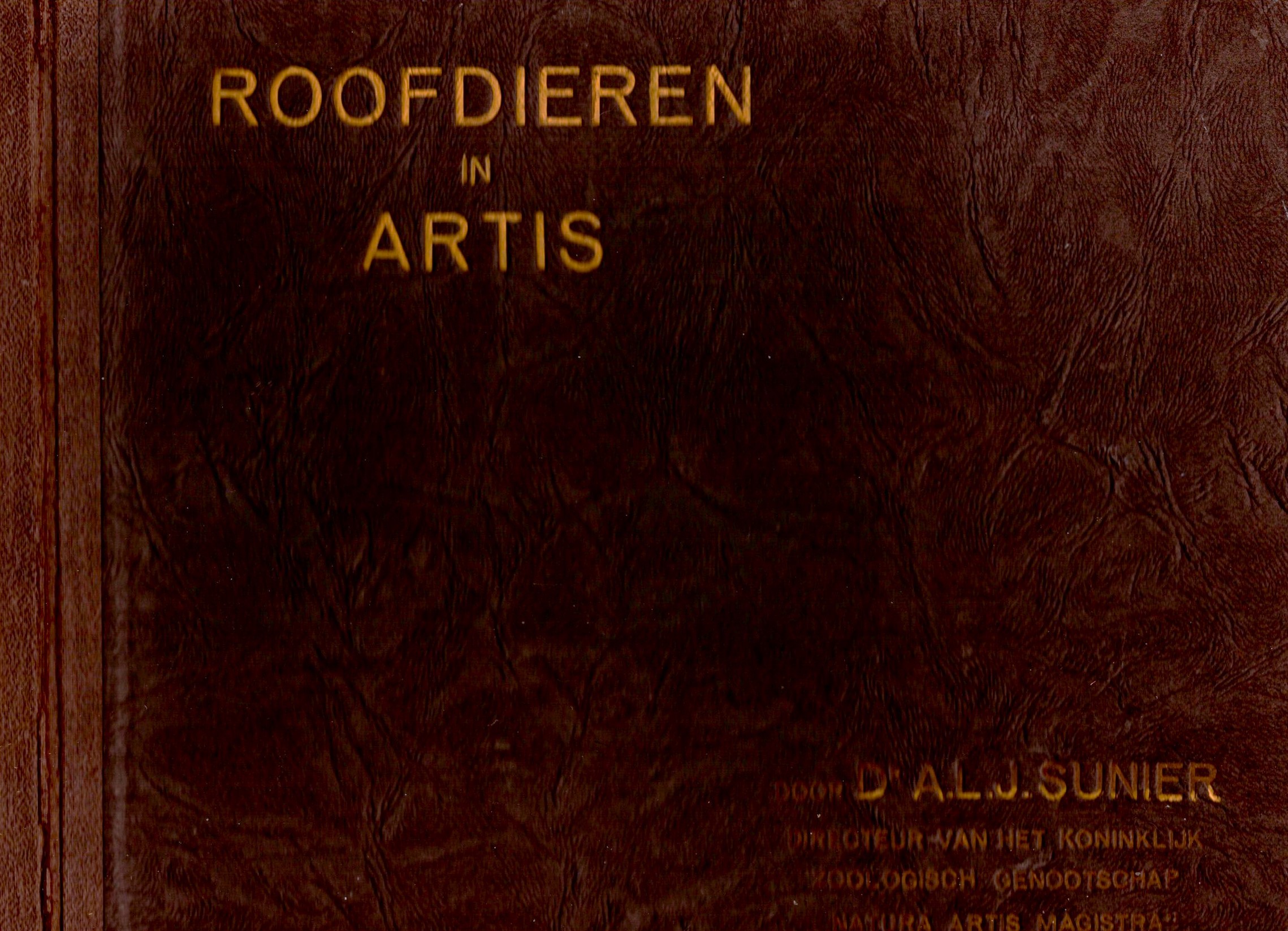 Roofdieren in Artis : Predators in Art (Photography)