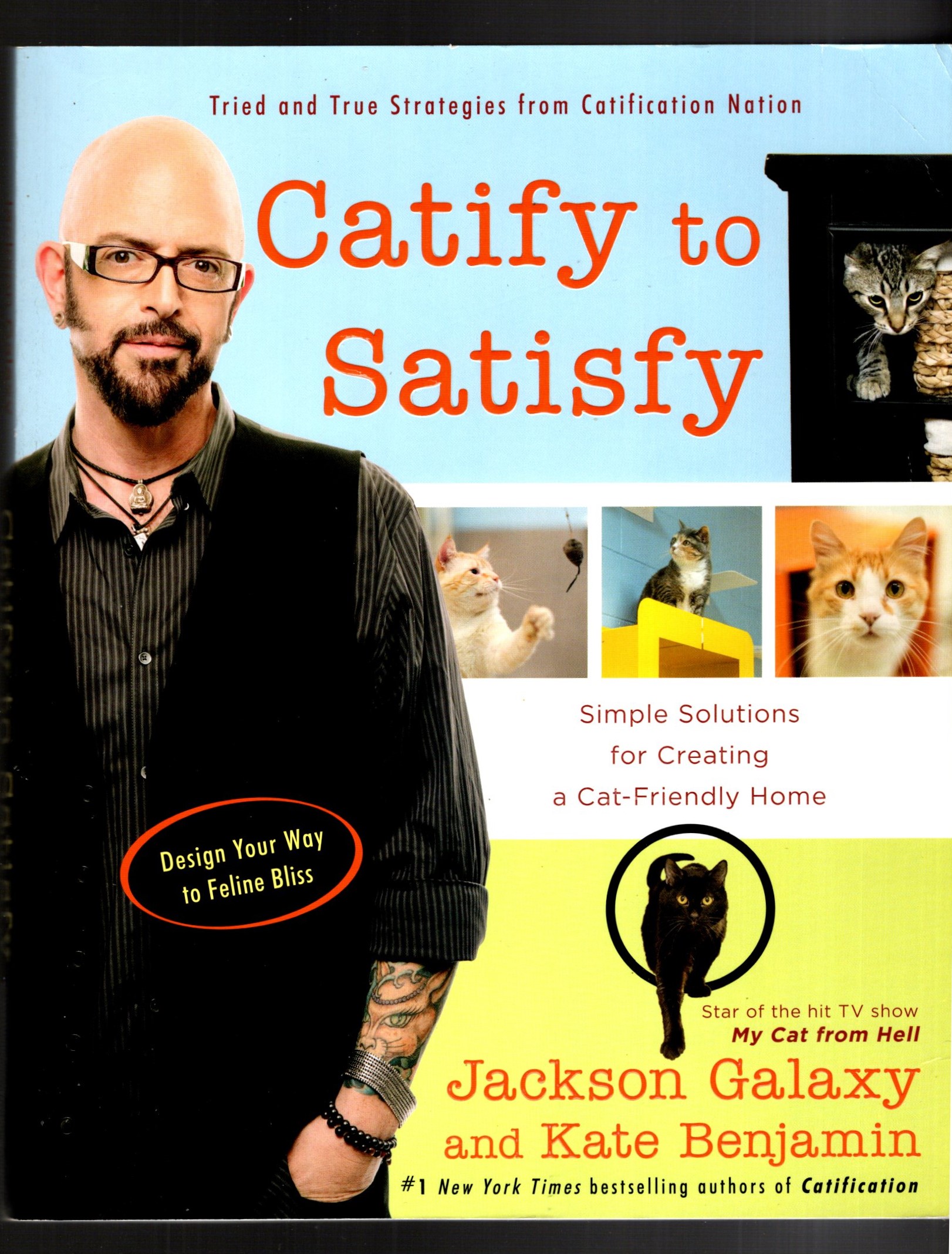 Catify to Satisfy : Simple Solutions for Creating a Cat Friendly Home