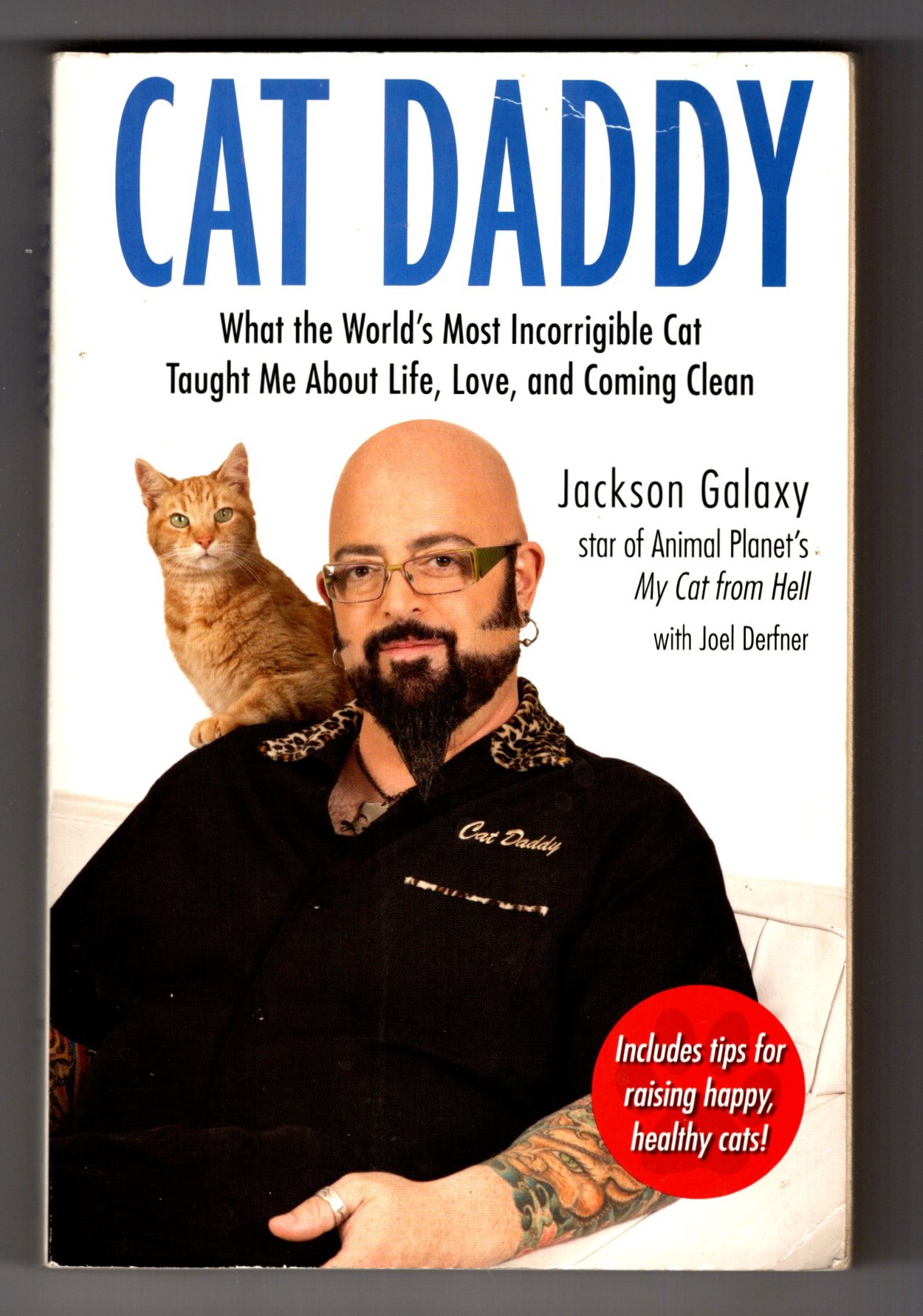 Cat Daddy : What the World's Most Incorrigible Cat Taught Me about Life, Love, and Coming Clean