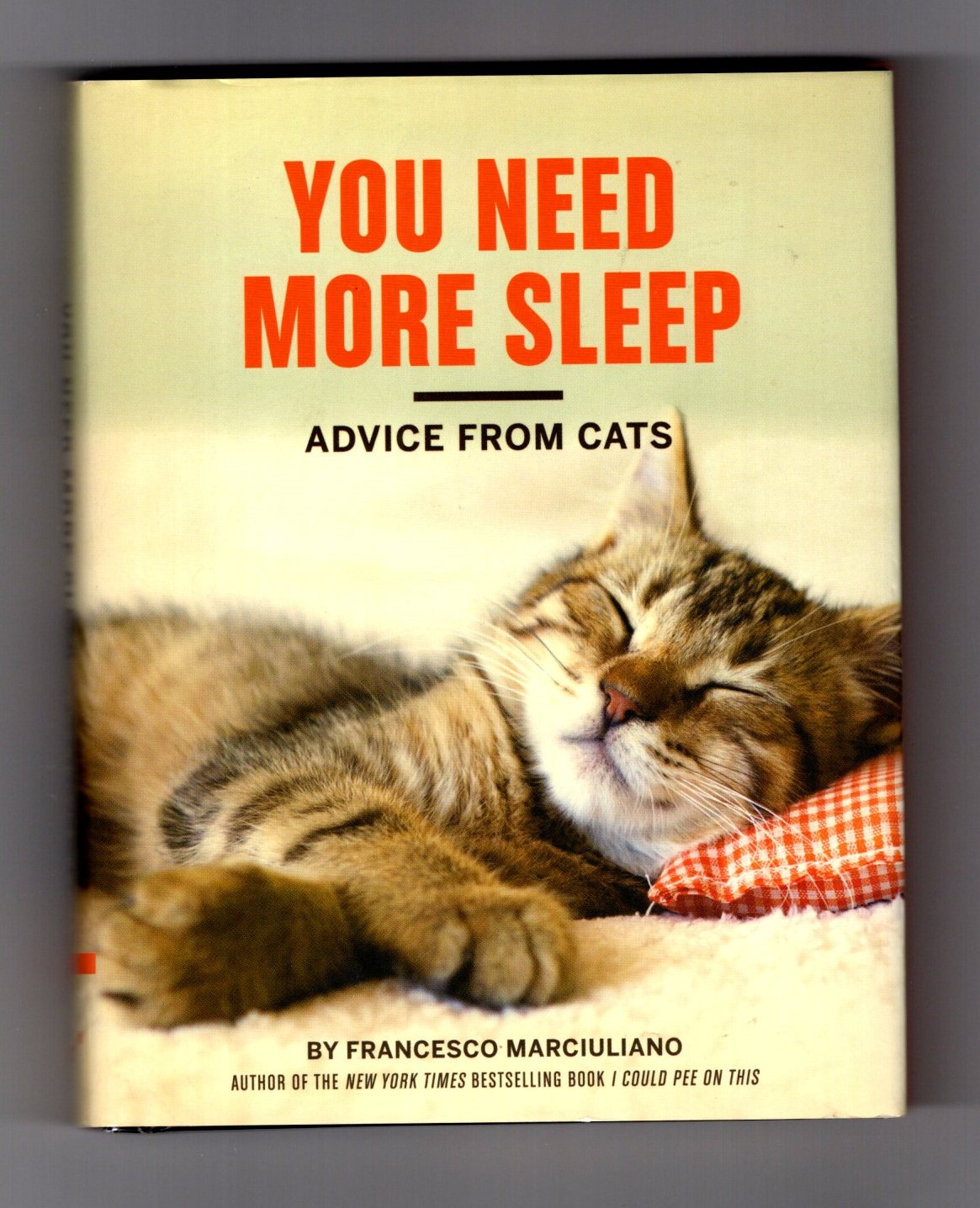 You Need More Sleep : Advice from Cats