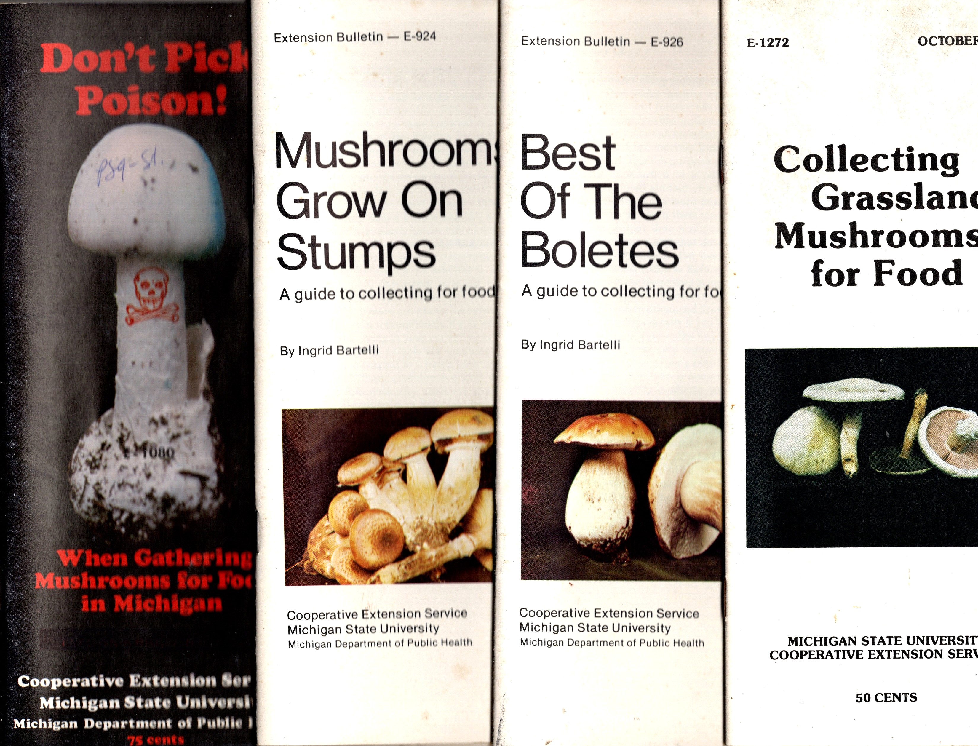 Collecting Grassland Mushrooms for Food