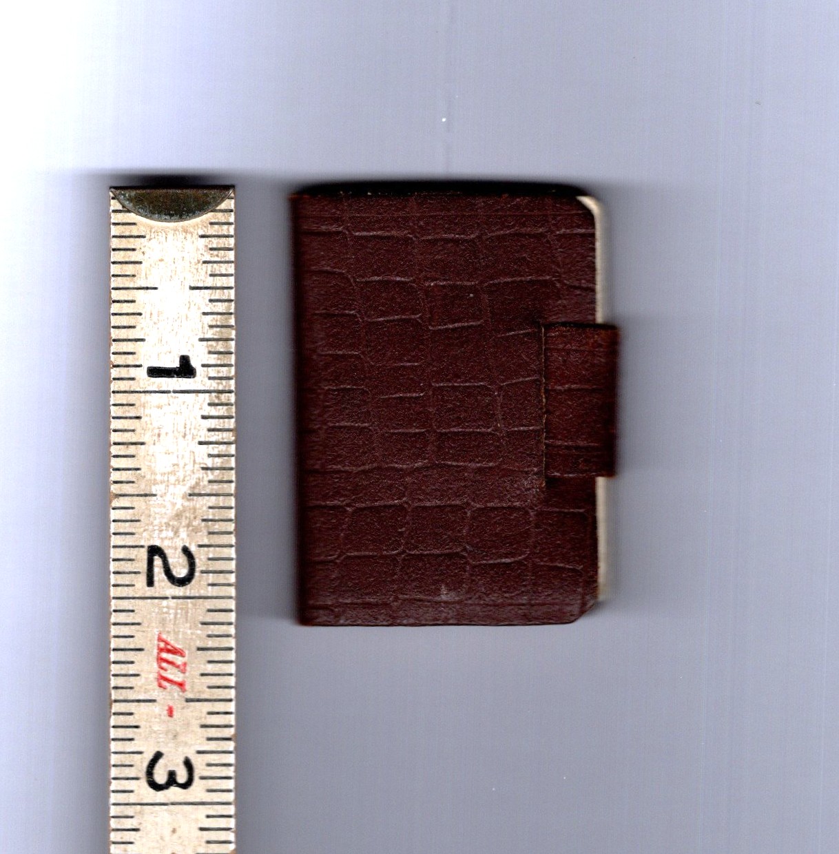 Swieta Katarzyna : Polish Miniature Souvenir Photo Book