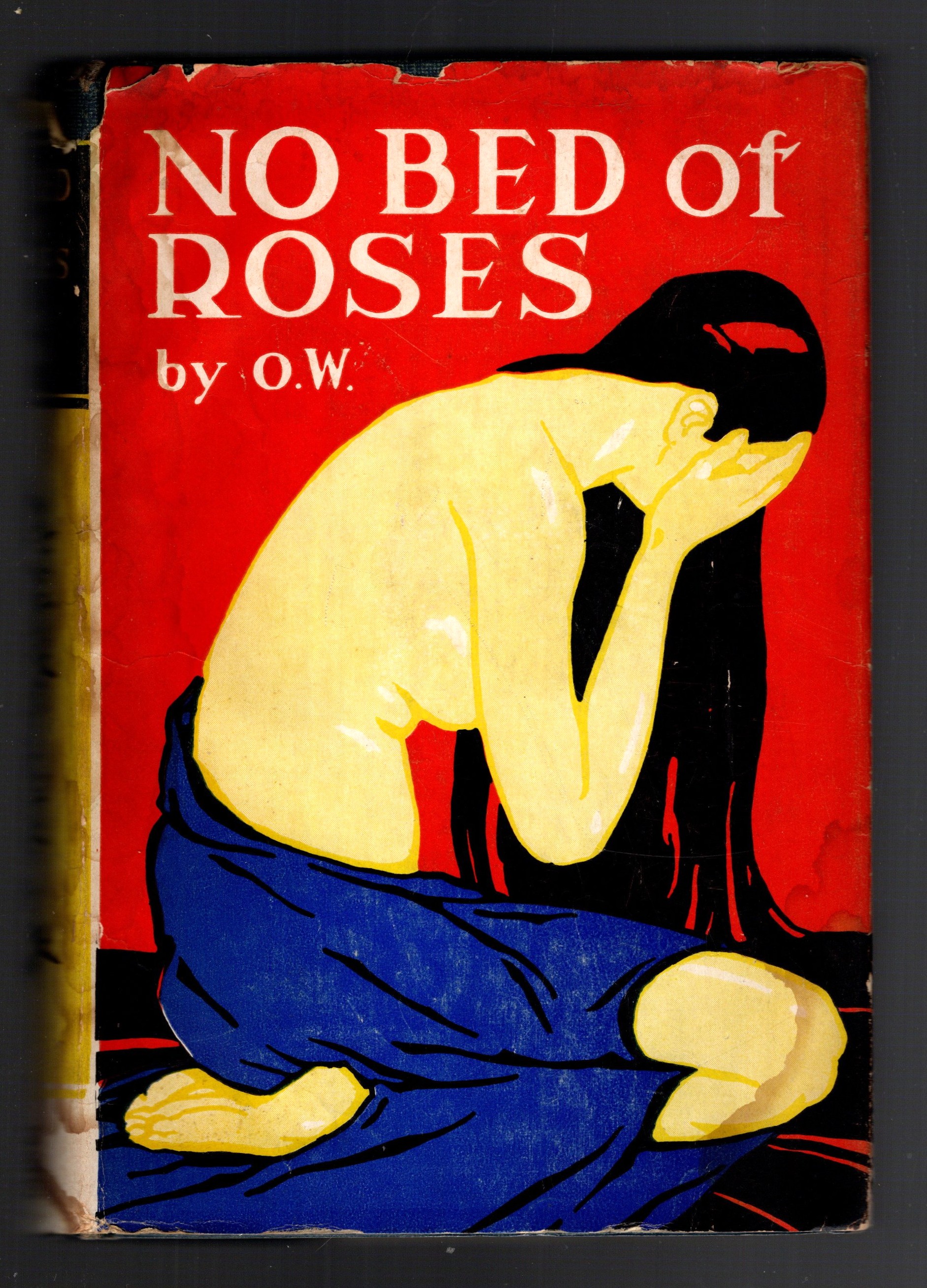 Image for No Bed of Roses : Diary of a Lost Soul No Bed of Roses : Diary of a Lost Soul