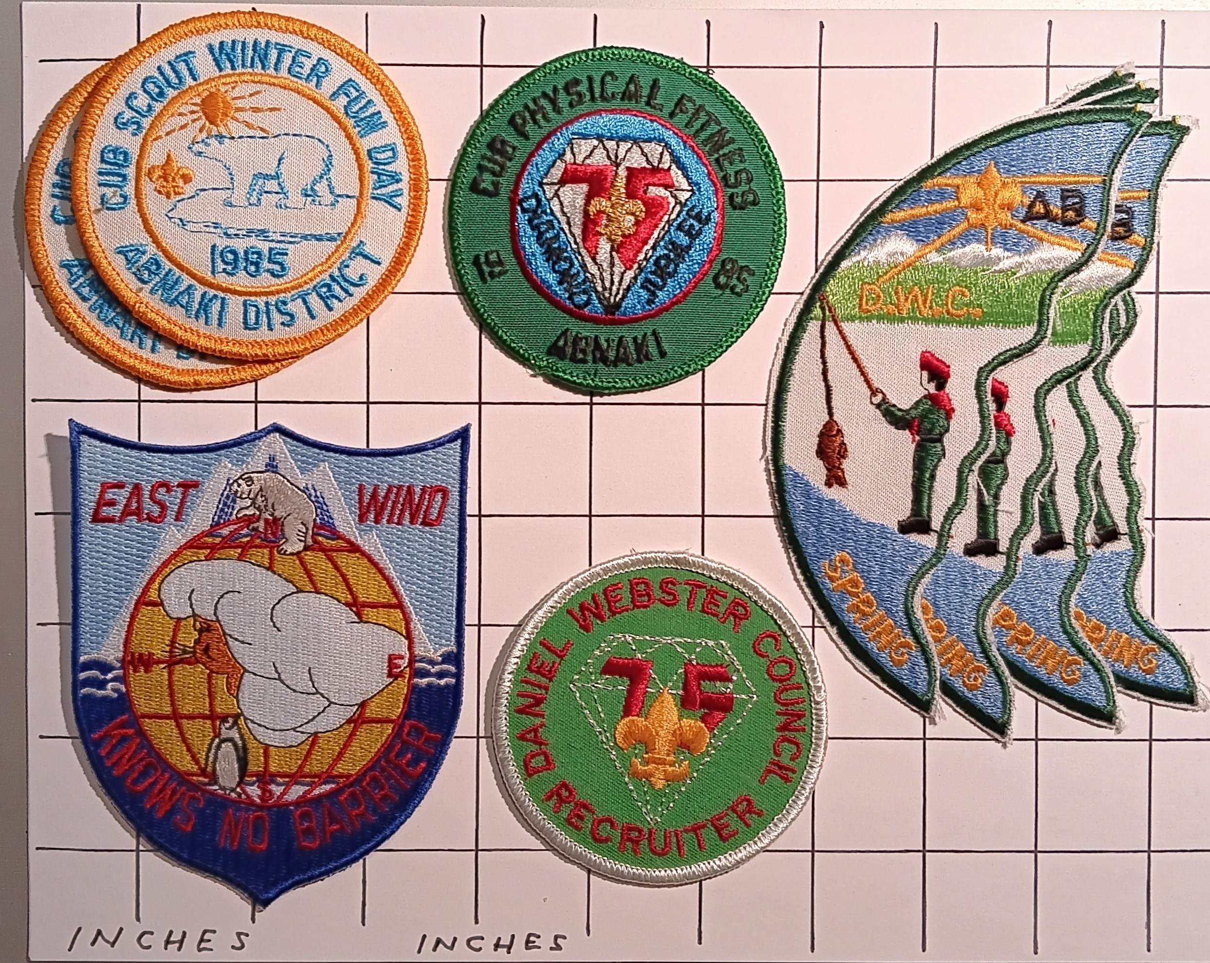Lot of 9 Boy Scout Patches : Vintage Cloth Patches, New Hampshire